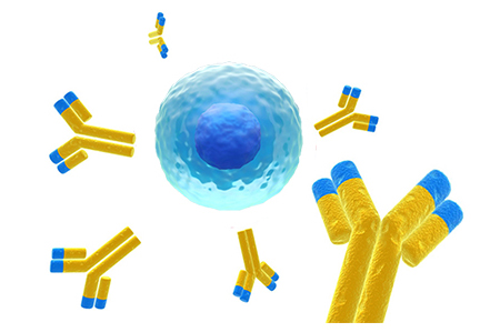 antibodies and reagents